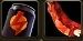 47GgqTH4SEU.jpg