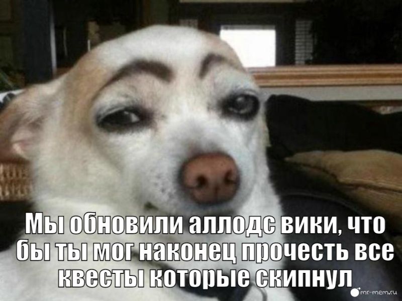 yHDIZCJoPkXgIu3rT_QgXqdqydjKBHF-eI5dh5La1EFGERCHsHjJCvuGVuUgdNW-U6TZSETD9pgMWZc3IEspijag.jpg